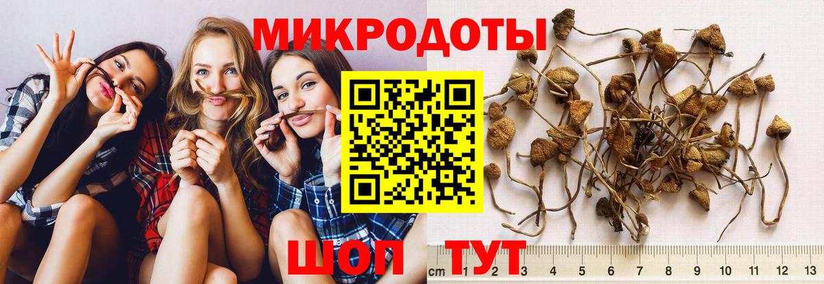 Галлюциногенные грибы прущие грибы  Вход с VPN  Галлюциногенные грибы Cubensis  наркота  Дзержинский 