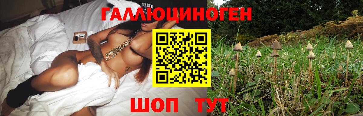 Галлюциногенные грибы Magic Shrooms Дзержинский